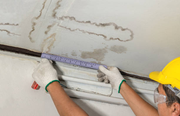 Reliable Mold Remediation contractor in Pickstown, SD by Water Damage Irwin
